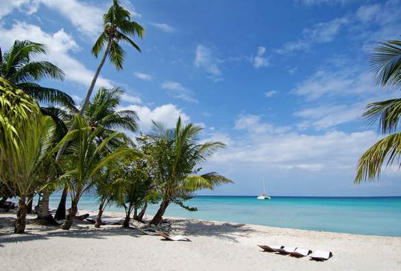 MSC Cruises, Protectours 1, Copyright - MSC Rights.jpg